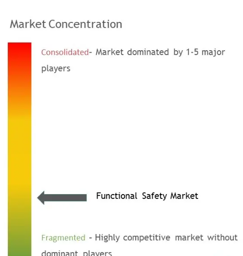 Functional Safety Market Concentration